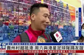 九游-拉力赛锦标赛，江汉海豚队与江汉铁骑队鏖战，VAR改判成焦点！赛后更衣室沸腾的简单介绍